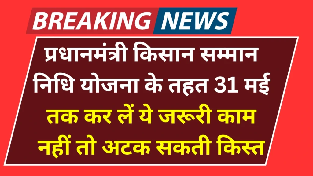 PM Kisan Samman Nidhi: 31 मई तक कर लें ये जरूरी काम, नहीं तो अटक सकती है 20वीं किस्त